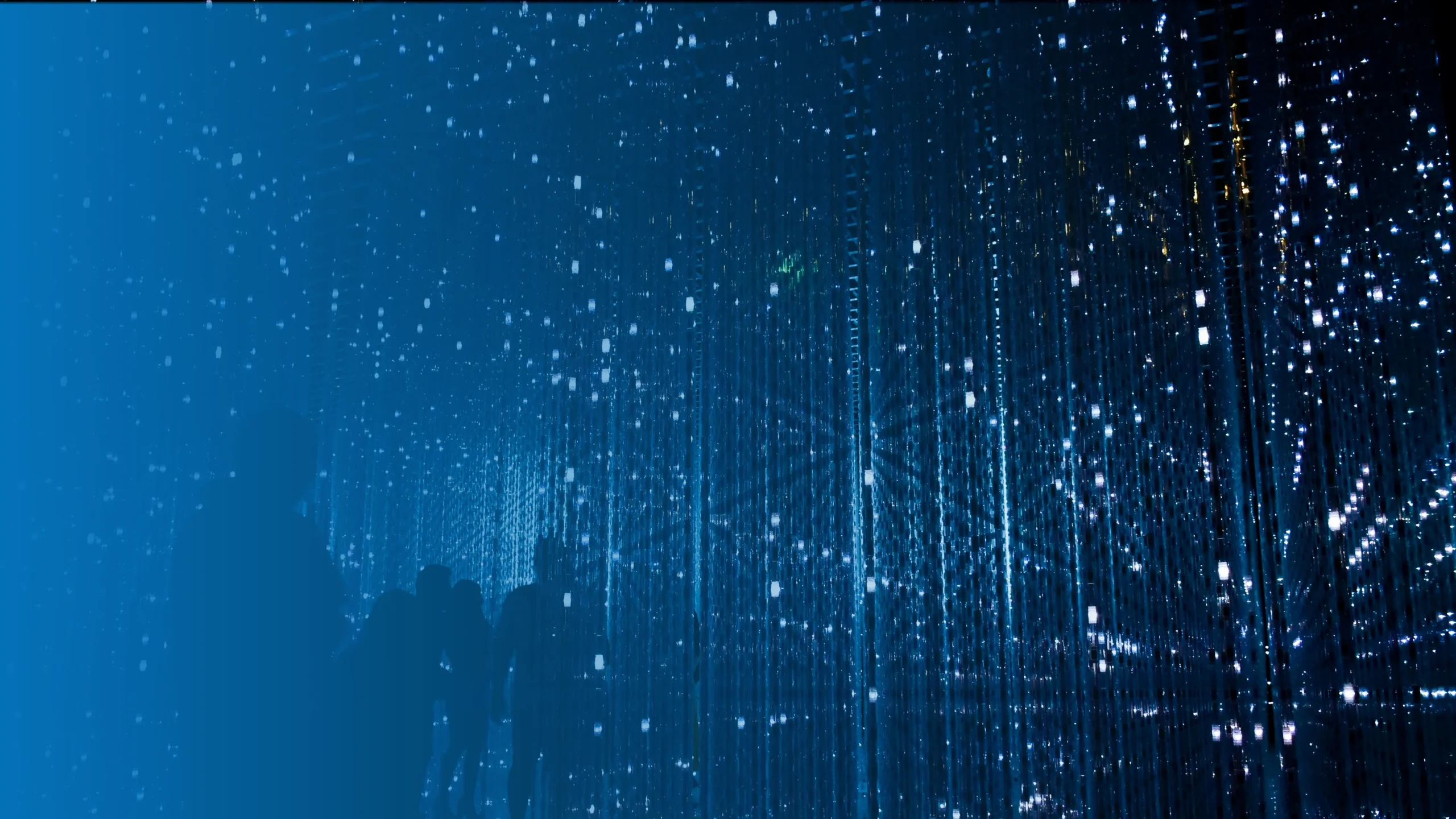 Prof Service - Image